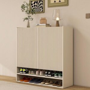 Modern Shoe Cabinet